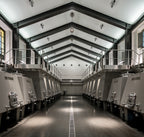 Tenuta Fratini - Tour in inglese